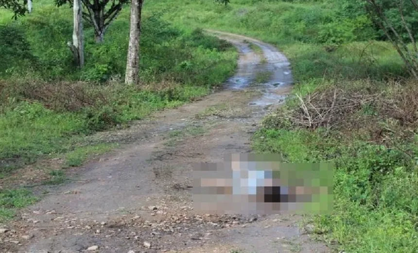 Corpo de jovem é encontrado à margem da BR-101, em Coração de Maria