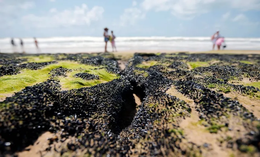 Pescadores do NE: Governo libera R$ 130 milhões para seguro defeso