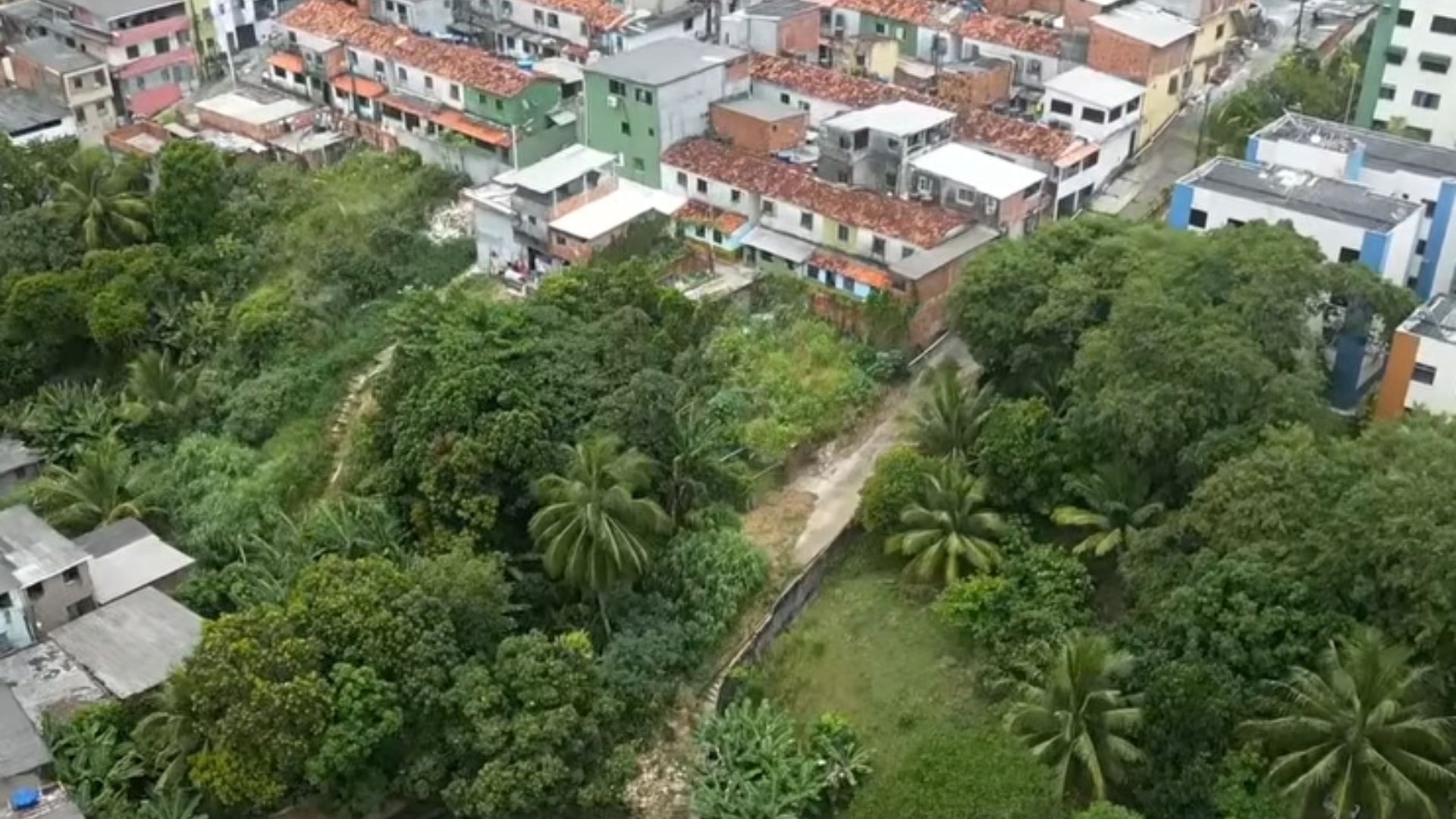 Matagal no Jardim Santo Inácio. Foto: Drone | Alô Juca