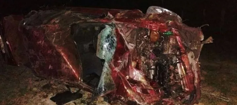 MAS, QUE VACA!: Carro capota e mata motorista após atropelar um animal na BR 101