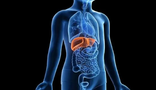 Brasil tem 28 casos suspeitos da hepatite infantil de causa desconhecida; fique por dentro