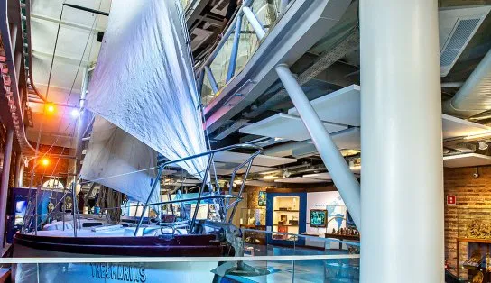 Museu do Mar apresenta exposição em parceria com o Projeto Tamar em Salvador
