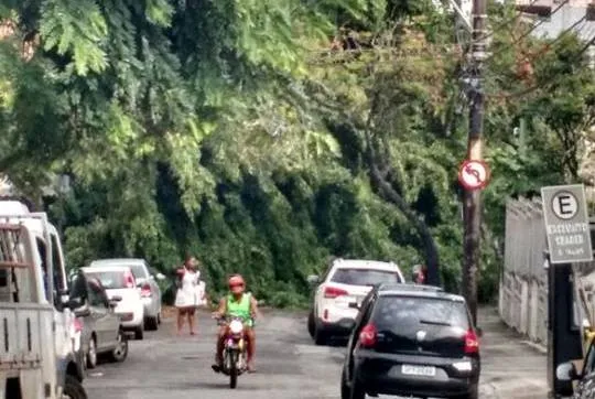 Árvore cai sobre veículo e bloqueia parte de Rua no Jardim Baiano