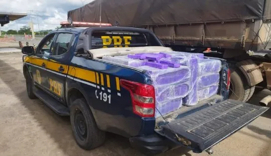 PRF apreende 680 kg de maconha sendo transportada em caminhão, em Feira de Santana