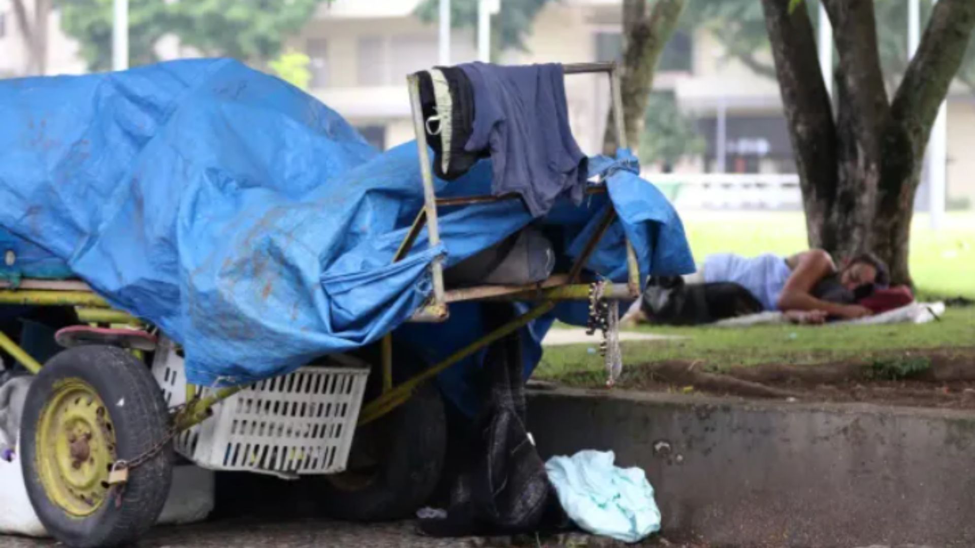 Foto: T&acirc;nia R&ecirc;go/Ag&ecirc;ncia Brasil/Arquivo