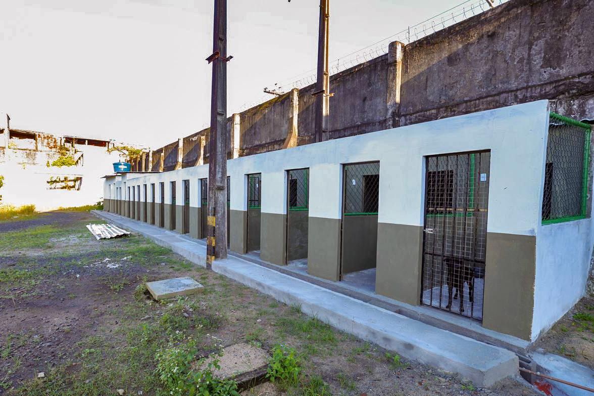 C&atilde;es Da Brigada K9 Acolhidos Em Estrutura Provis&oacute;ria Ap&oacute;s Retirada Do Espa&ccedil;o Jequitaia, Em Salvador.