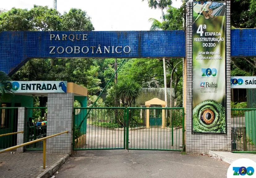 Zoológico de Salvador retoma passeios noturnos para a população