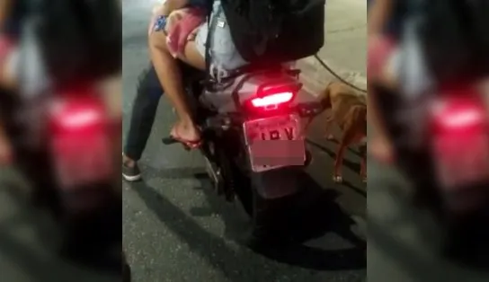 ASSISTA! Motociclista arrasta cachorro em Salvador e é repreendido; "vou amarrar você também" 