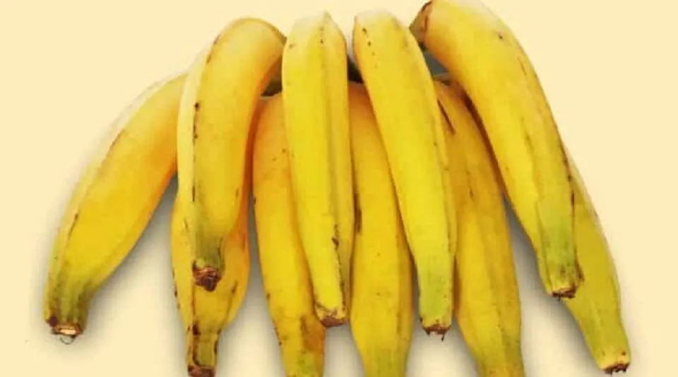 Cesta básica de Salvador tem alta em preços pelo quinto mês seguido; banana-prata lidera