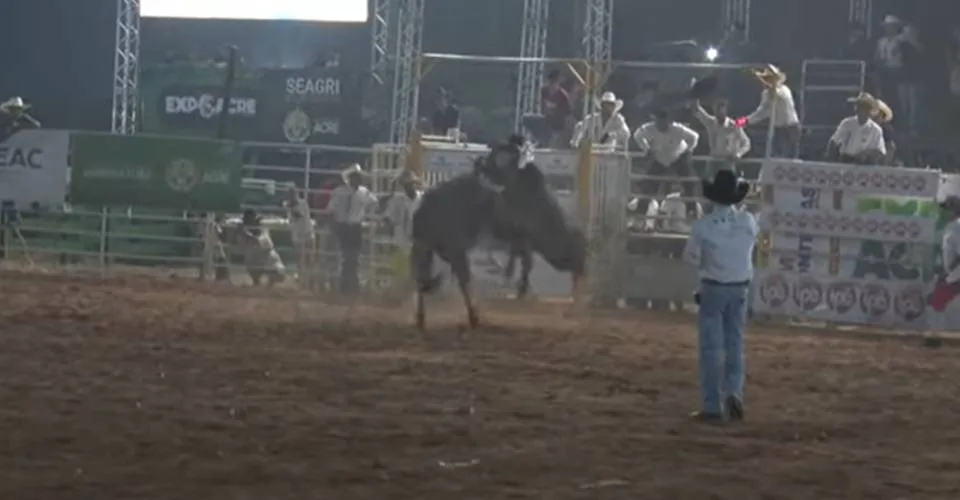 Campeão de rodeio sofre traumatismo craniano ao ser atingido por touro; assista