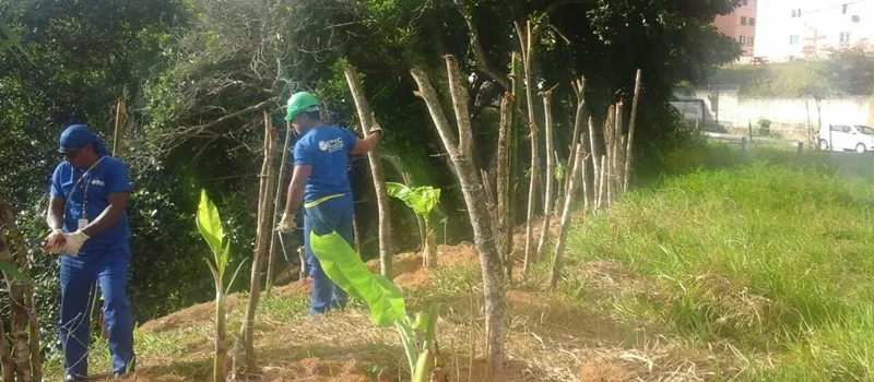 Sucom remove demarcações irregulares de terrenos em quatro bairros de Salvador