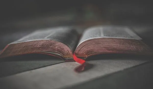 Dia de finados: Igreja Católica faz semana de Oração pelos Falecidos com programação especial; confira