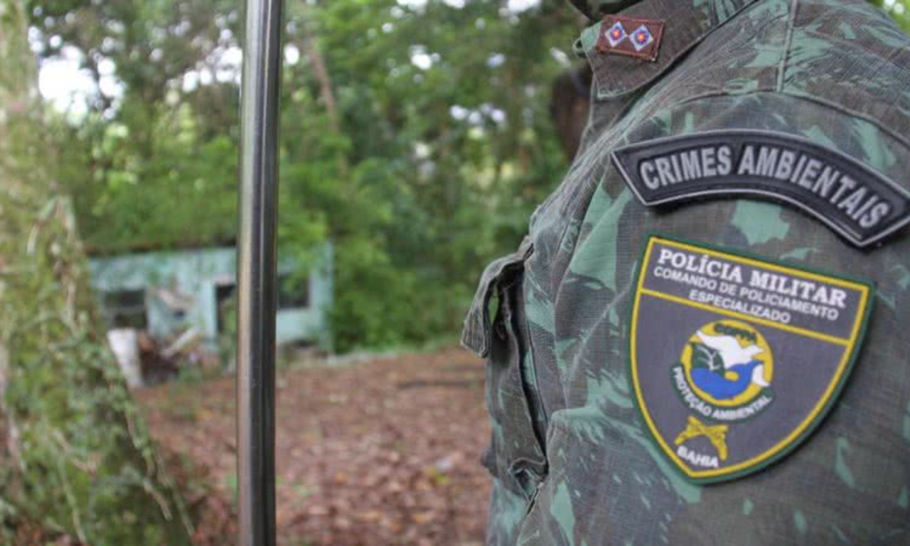 Companhia Independente de Polícia de Proteção Ambiental fez o socorro do jovem. Foto: Divulgação | Coppa