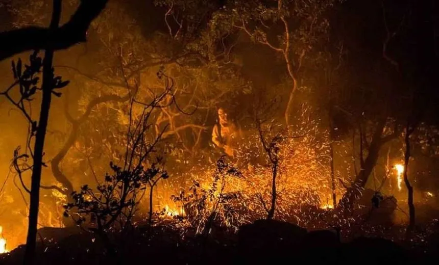 Incêndio na Chapada dos Veadeiros ameaça território quilombola