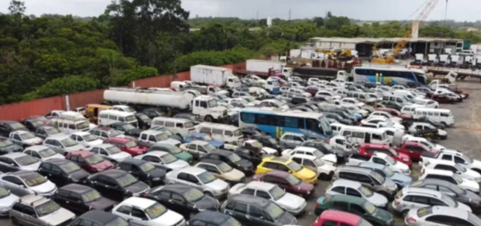 Reprodu&ccedil;&atilde;o Prf