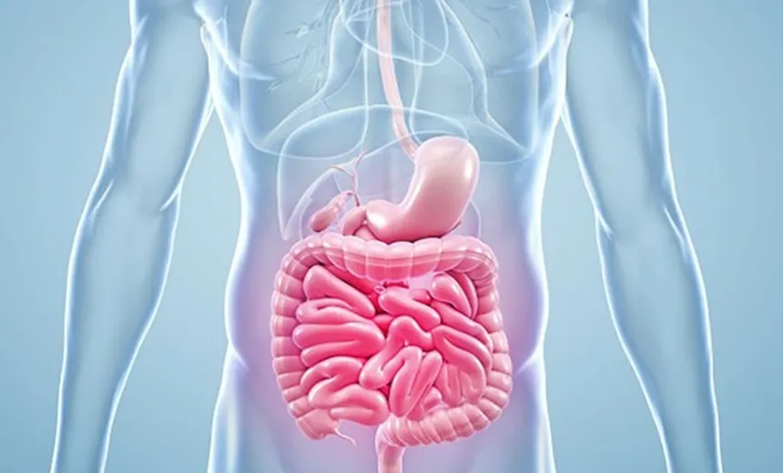 Salvador sediará simpósio internacional sobre câncer gastrointestinal