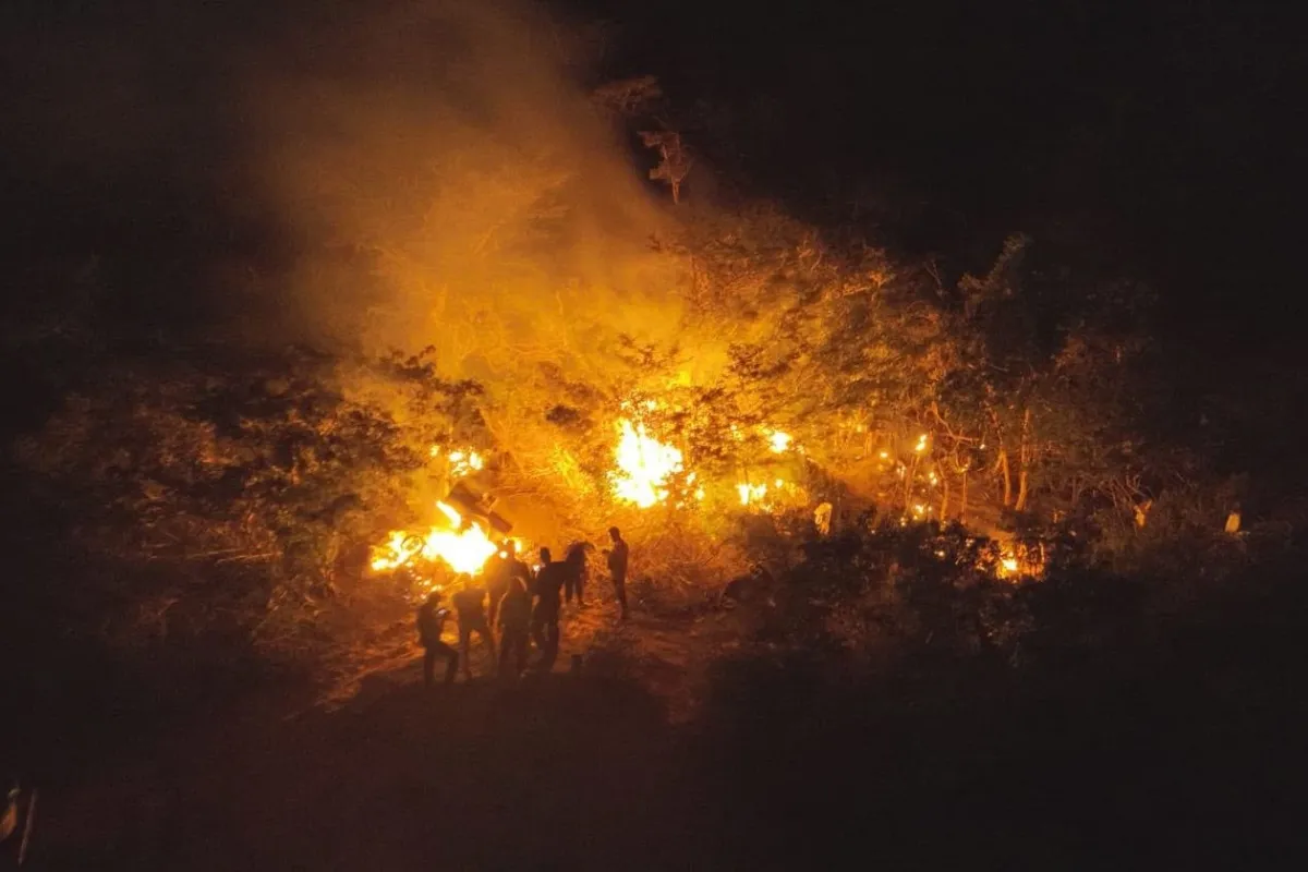 Polícia destrói 1,5 tonelada de maconha na Chapada Diamantina