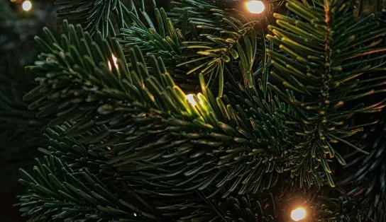 ONG Salvador Invisível organiza comemoração de natal para pesssoas em situação de rua; saiba como ajudar
