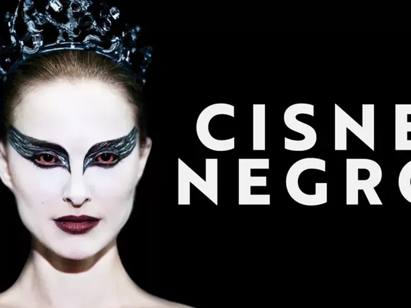 Poster do Filme Cisne Negro/Foto: Mercado Livre 