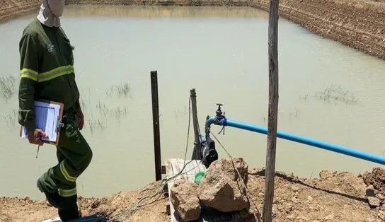 Fazendeiro é preso por fazer gato e roubar energia que abasteceria uma cidade inteira por 10 dias