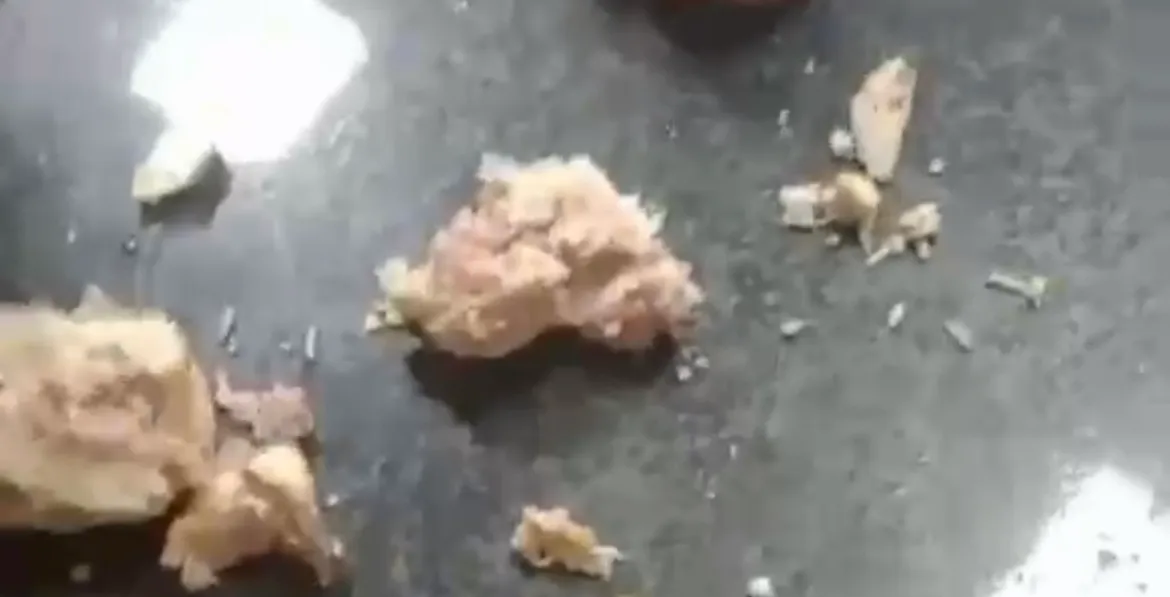Mulher denuncia padaria em Salvador após encontrar larvas em salgado