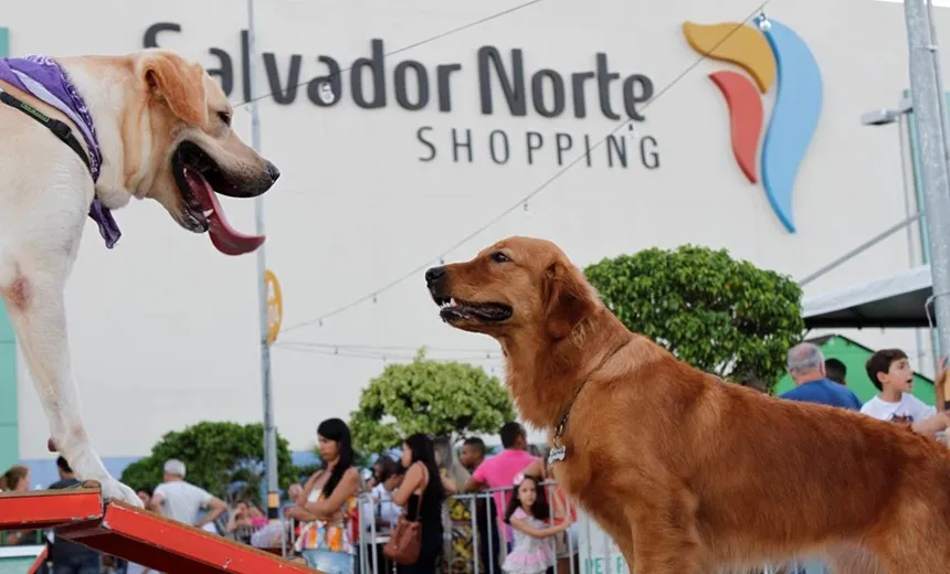 Feira Mais Pet celebra neste sábado ?Dia do AUmigo? no Salvador Norte Shopping
