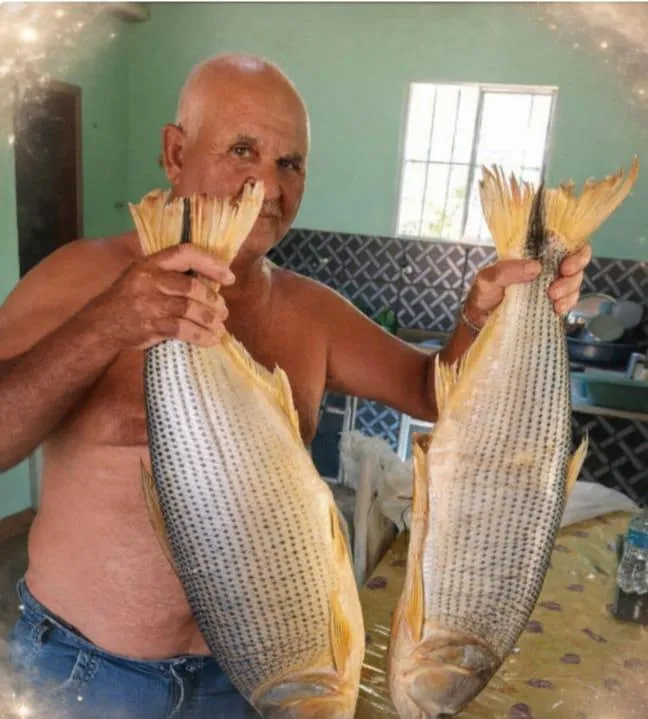 Idoso é atacado por enxame de abelhas e morre em zona rural da Bahia