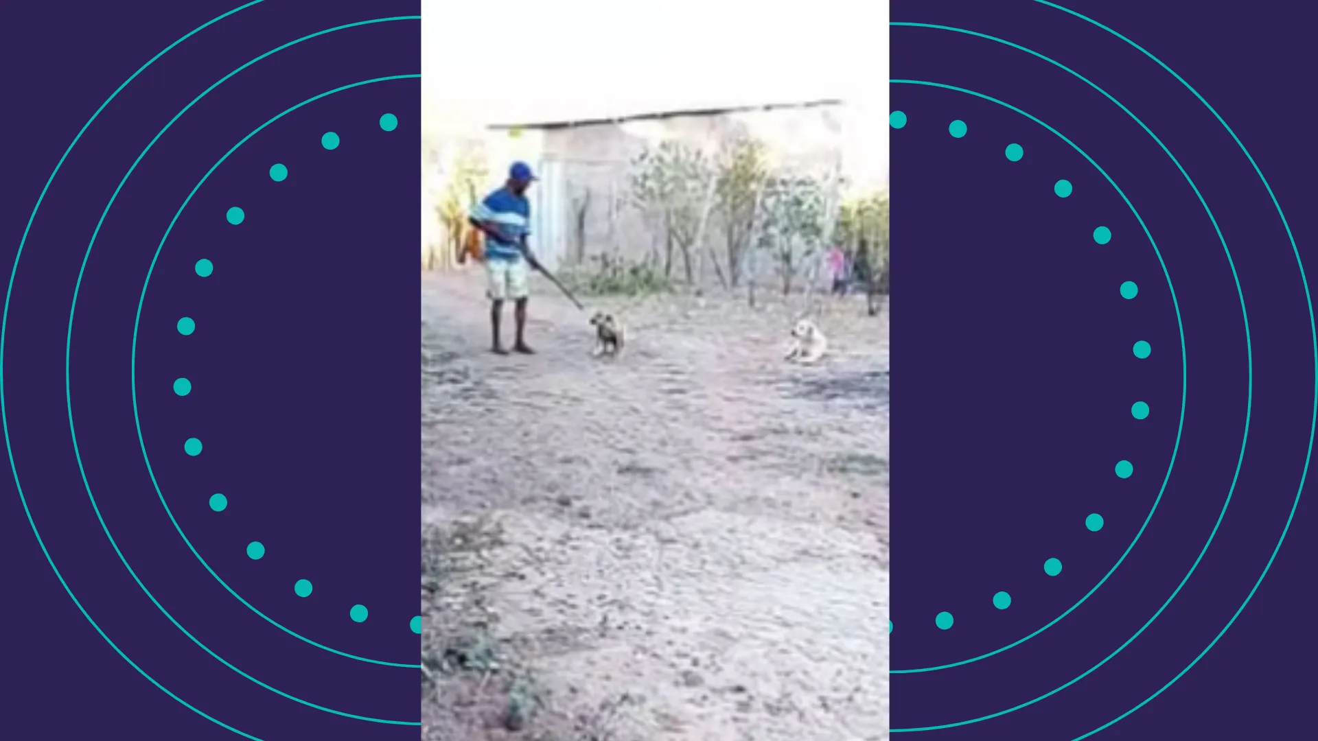 Homem é procurado pela polícia após matar cachorro a tiros na Bahia