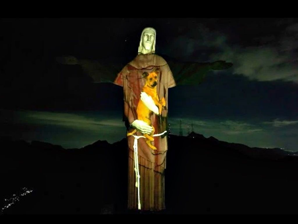 A projeção no Cristo Redentor é em Em celebração ao Dia Mundial dos Animais de Rua. Foto: Reprodução