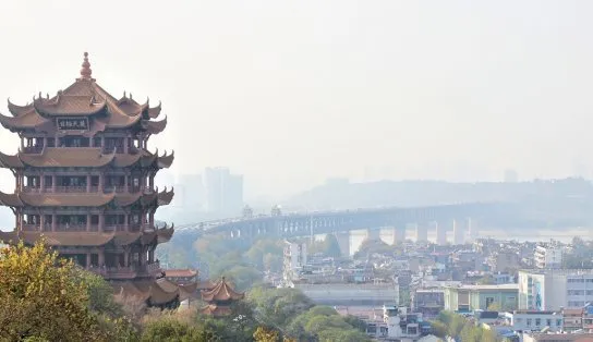 China se opõe ao plano da OMS de investigar origem do coronavírus em Wuhan; iniciativa "contraria o bom senso"