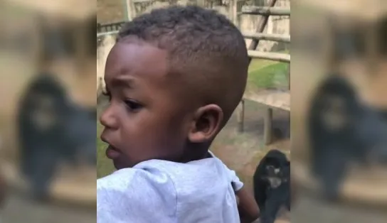 Em Salvador, criança se decepciona ao ver urso de perto no zoológico; veja vídeo 