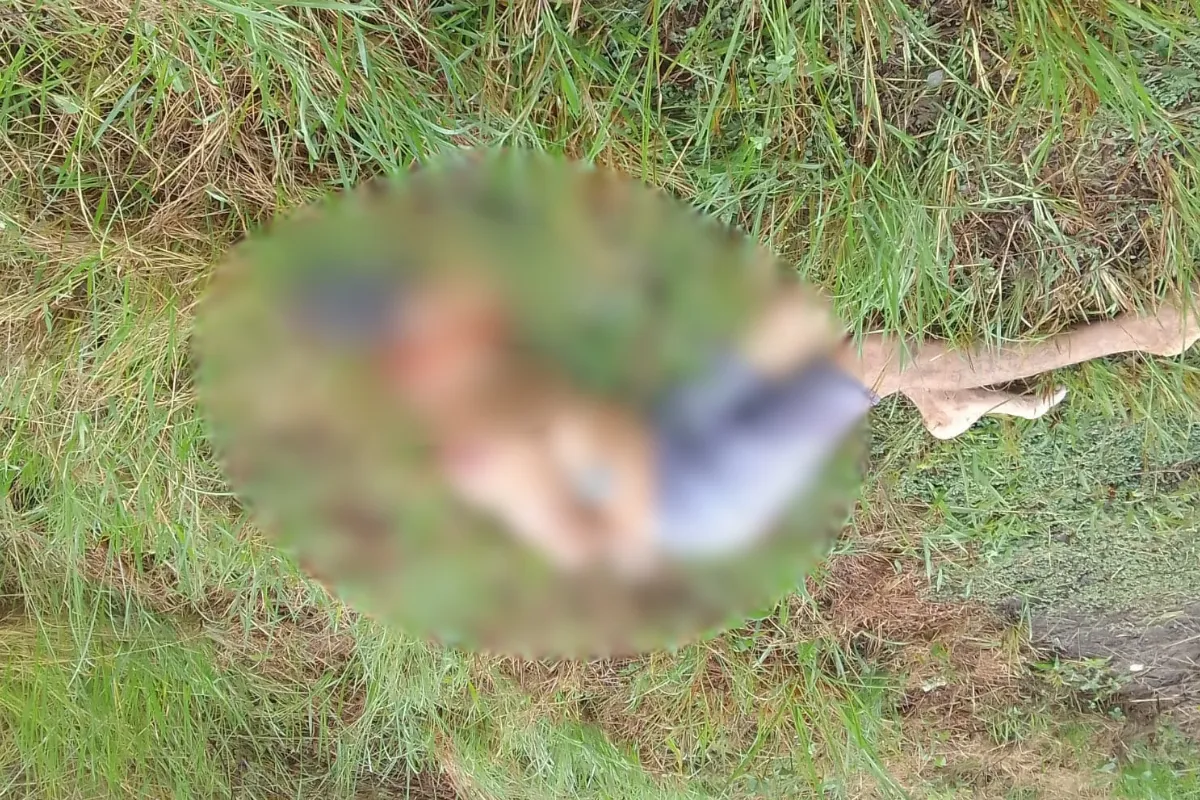 Homem é encontrado morto com mãos amarradas na Via Parafuso, em Camaçari