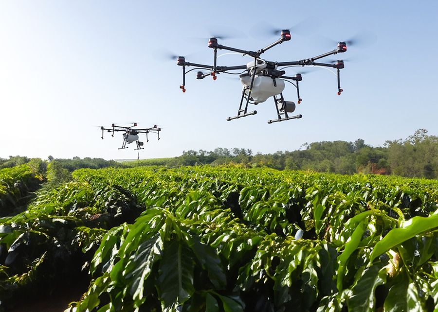 No Espírito Santo, drones estão sendo utilizados para aplicação do produto. Foto: Litho Plant