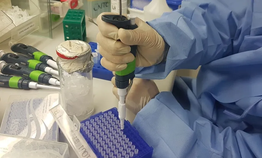 Mulheres e crianças que já tiveram zika desenvolvem imunidade ao vírus, diz estudo