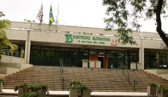 Vacina contra a dengue do Butantan atinge eficácia de 79,6%