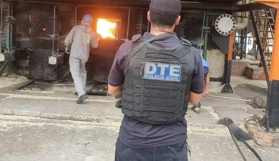 Narco Brasil: mais de cinco toneladas de drogas são incineradas durante operação policial na Bahia