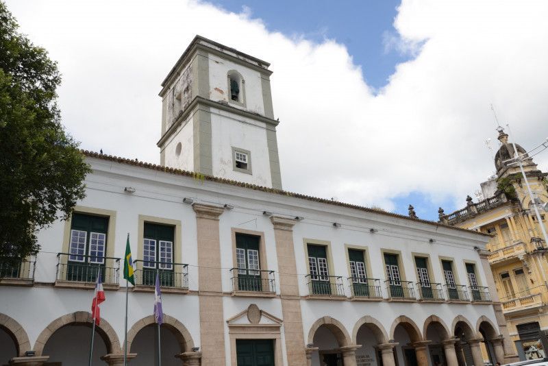 Comissões Da Câmara De Salvador Aprovam Criação Do Fundo Animal