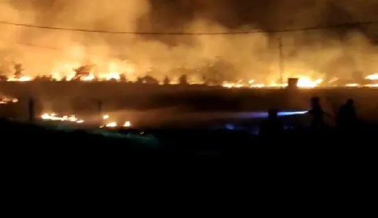Área de vegetação de 20 mil metros quadrados é consumida por incêndio em Guanambi; 10 mil litros de água são usados para conter chamas