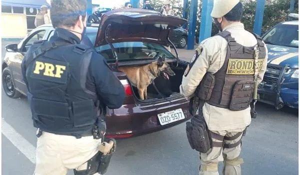 Com ajuda de cão farejador, polícia localiza drogas e arma falsa dentro de veículo, na BR-242