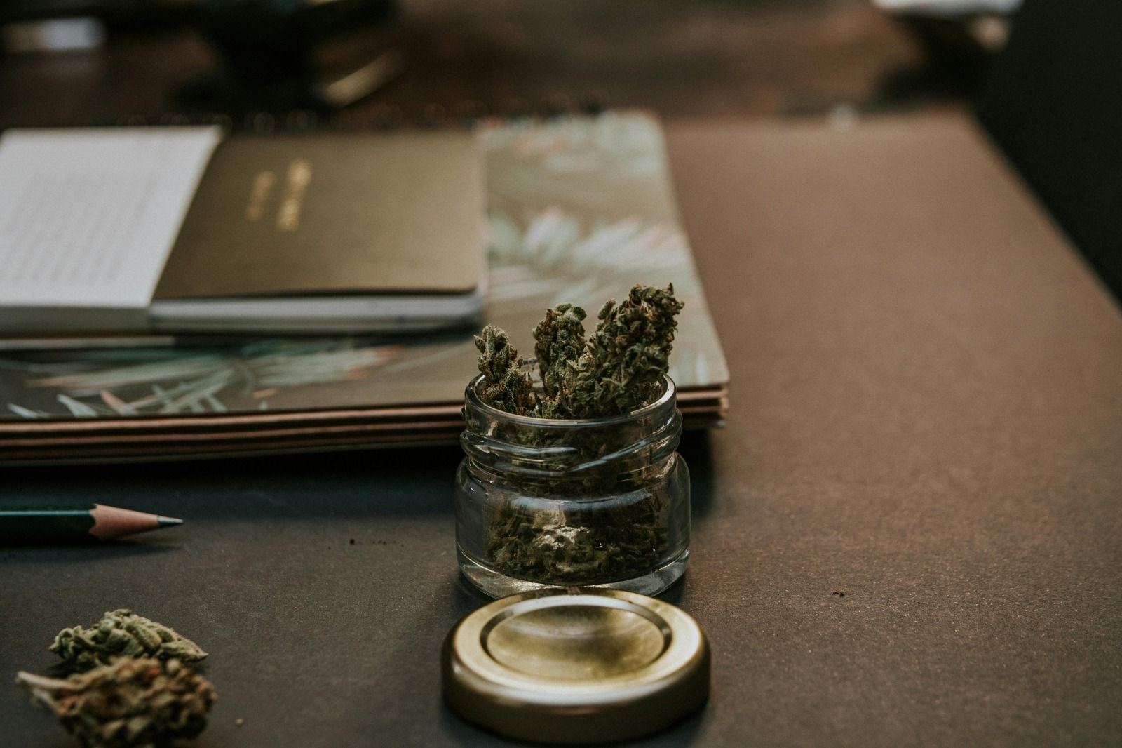 Descriminalização do porte de maconha não significa legalização da droga. Foto: Reprodução | Pexels