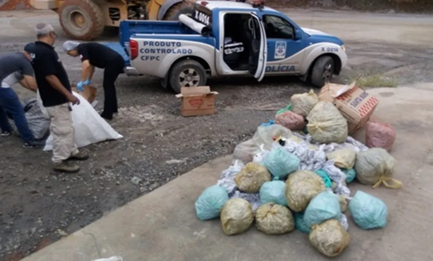 Operação apreende 15 mil fogos em situação irregular na Bahia