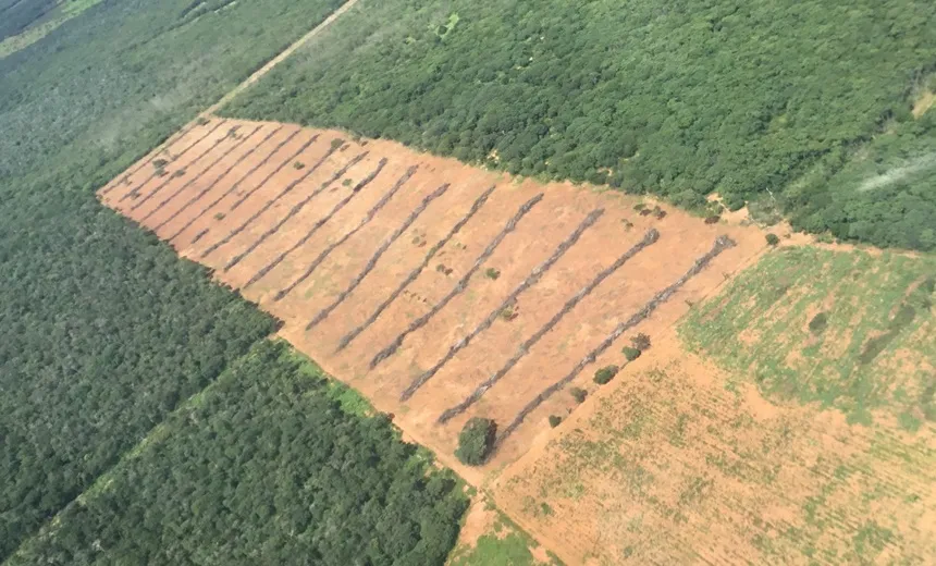 BAHIA: Operação integrada combate crimes ambientais; 70 alvos suspeitos foram flagrados