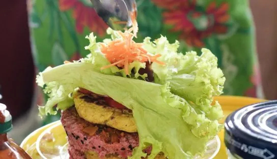 Feira Vegana especial de dia dos pais invade fim de semana em Salvador com programação especial gratuita