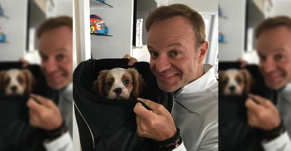 Cachorro de Rubens Barrichello morre após ingerir 11 bitucas de cigarro