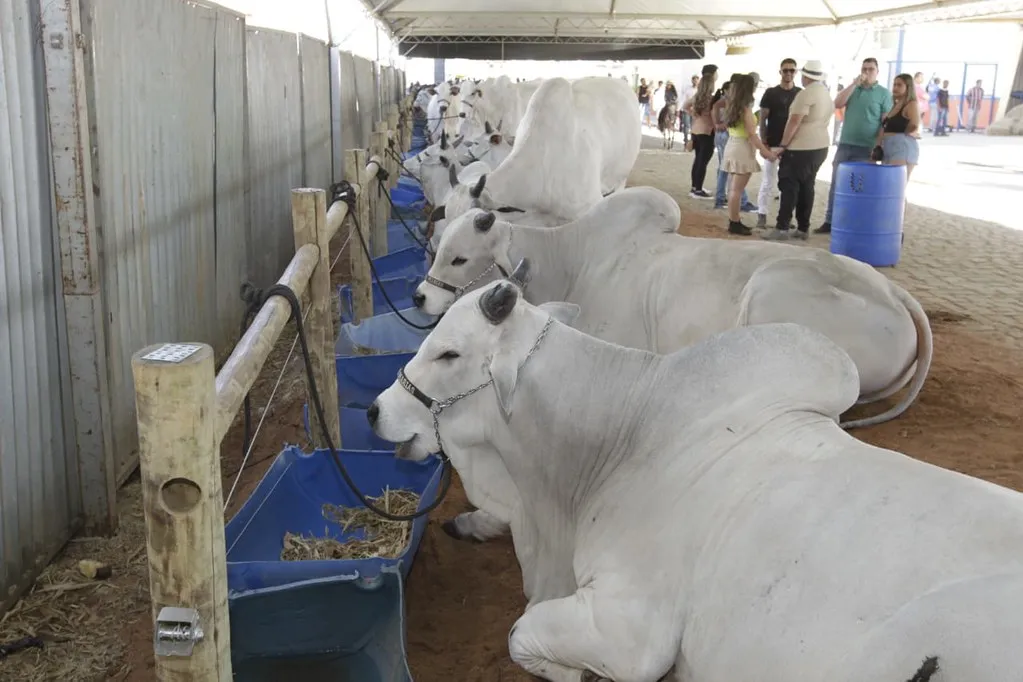 PIB da Bahia cresce 2,1% no 2º trimestre, impulsionado pela agropecuária